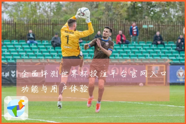 全面评测世界杯投注平台官网入口功能与用户体验