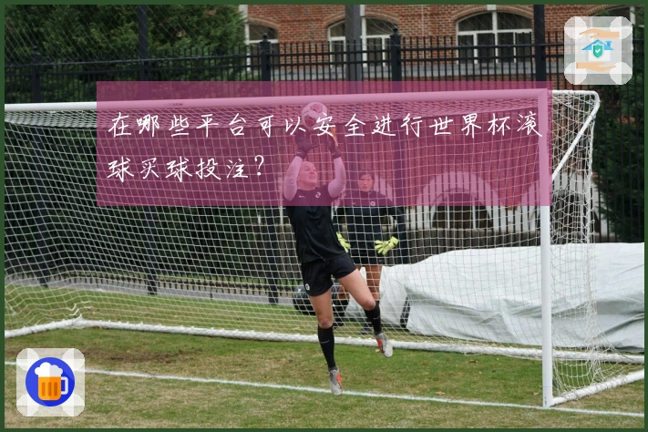 在哪些平台可以安全进行世界杯滚球买球投注？