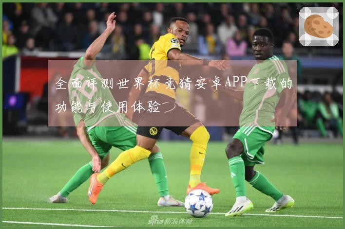 全面评测世界杯竞猜安卓APP下载的功能与使用体验