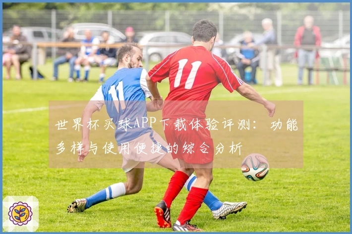 世界杯买球APP下载体验评测：功能多样与使用便捷的综合分析