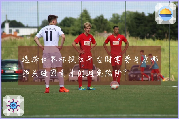 选择世界杯投注平台时需要考虑哪些关键因素才能避免陷阱？