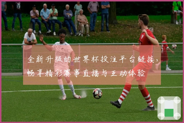 全新升级的世界杯投注平台链接,畅享精彩赛事直播与互动体验