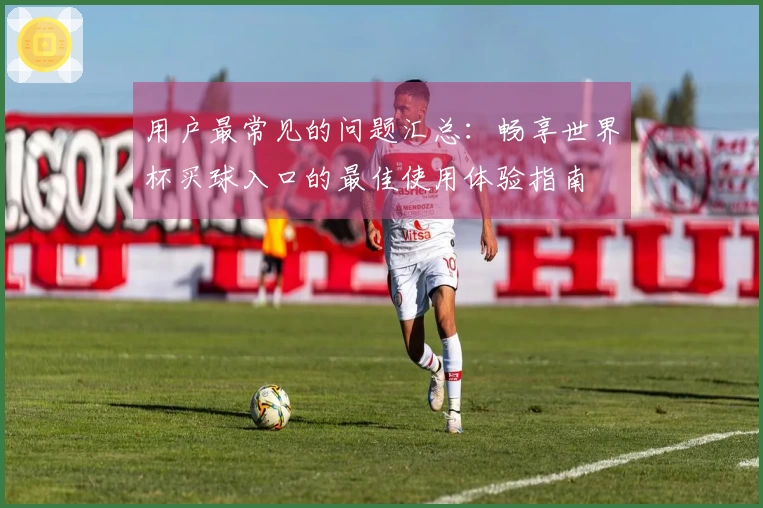 用户最常见的问题汇总：畅享世界杯买球入口的最佳使用体验指南