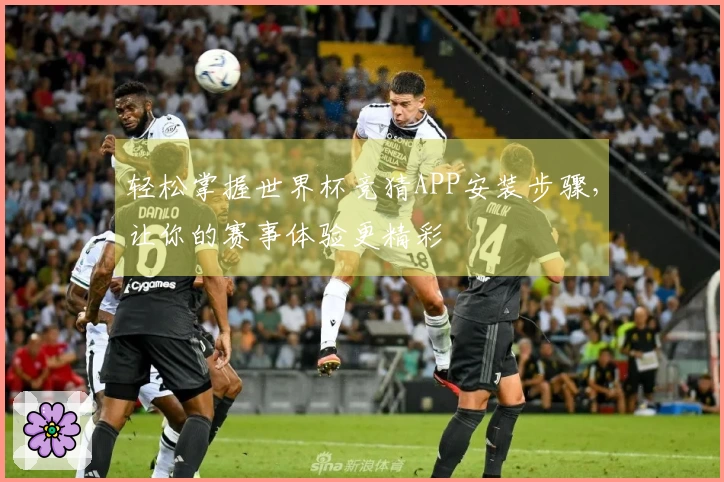 轻松掌握世界杯竞猜APP安装步骤，让你的赛事体验更精彩