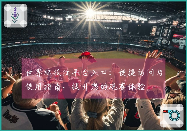 世界杯投注平台入口：便捷访问与使用指南，提升您的观赛体验