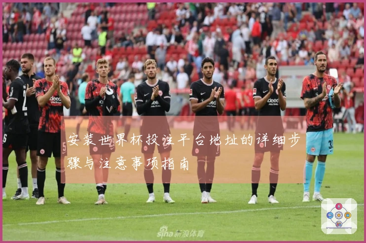 安装世界杯投注平台地址的详细步骤与注意事项指南