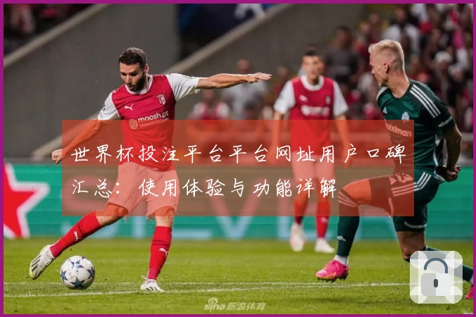 世界杯投注平台平台网址用户口碑汇总：使用体验与功能详解