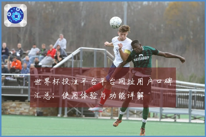 世界杯投注平台平台网址用户口碑汇总：使用体验与功能详解