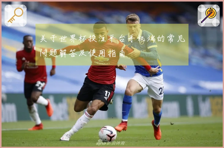 关于世界杯投注平台手机端的常见问题解答及使用指南