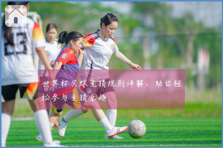 世界杯买球竞猜规则详解，助你轻松参与竞猜乐趣