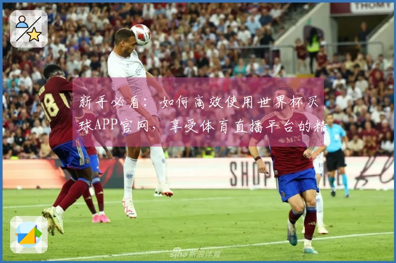 新手必看：如何高效使用世界杯买球APP官网，享受体育直播平台的精彩体验