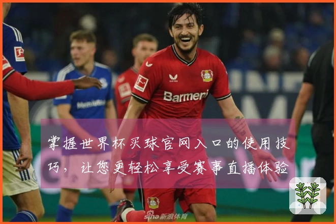 掌握世界杯买球官网入口的使用技巧，让您更轻松享受赛事直播体验